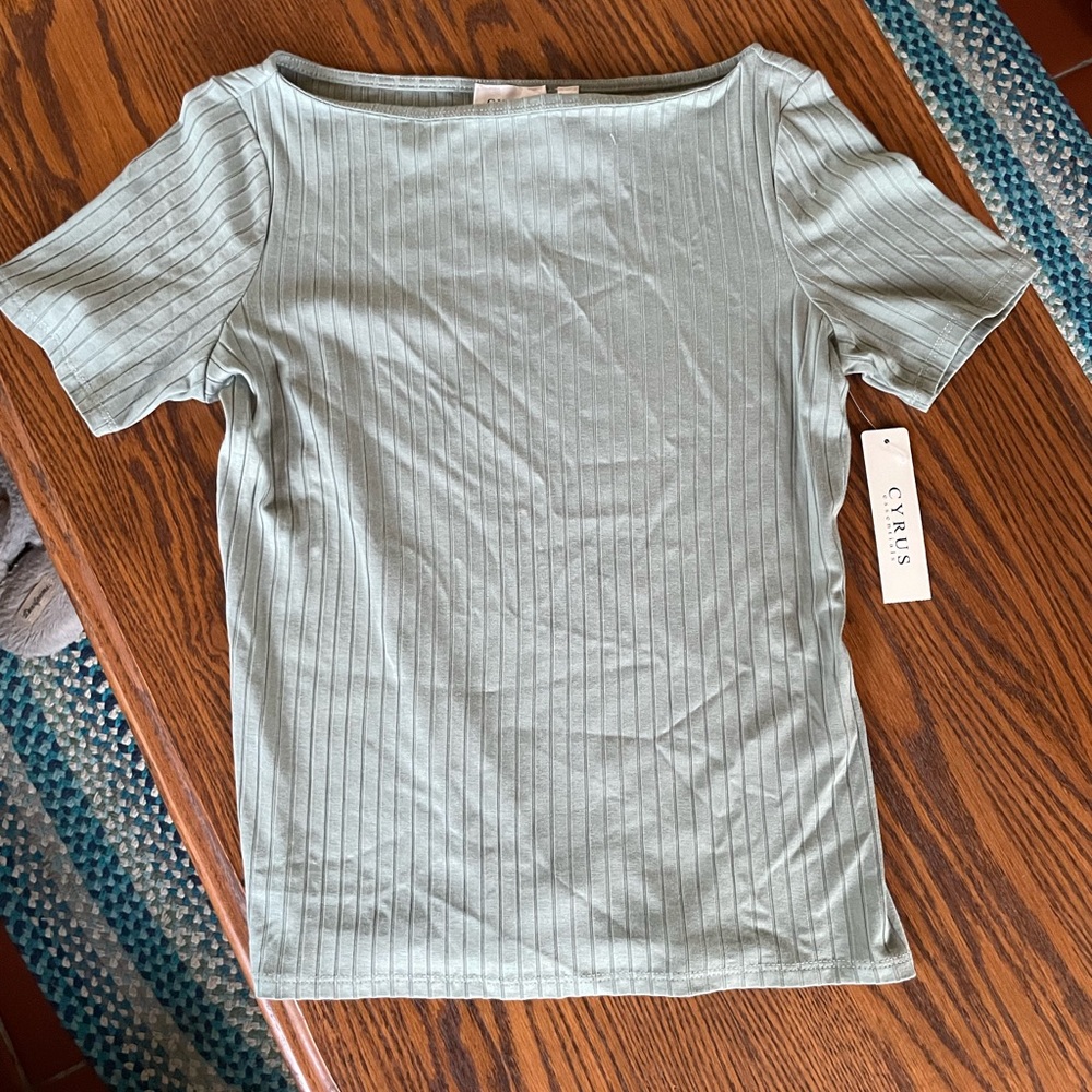 Cyrus Short Sleeve Ribbed Boatneck Top in Sage